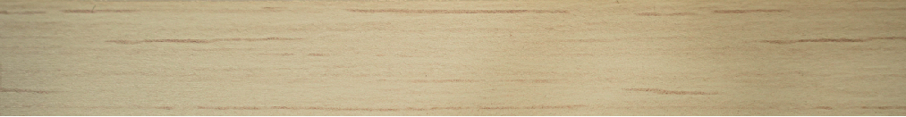 【EGGER】H3860 ST9 CHAMPAGNE HARD MAPLE-CT10059M