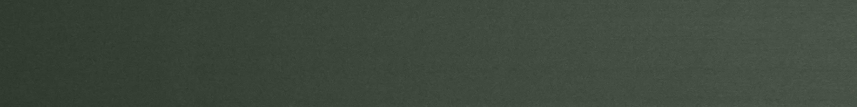 TAFISA PM773  EUCALYPTUS Edge Band-CT30029M-Pre-Matched