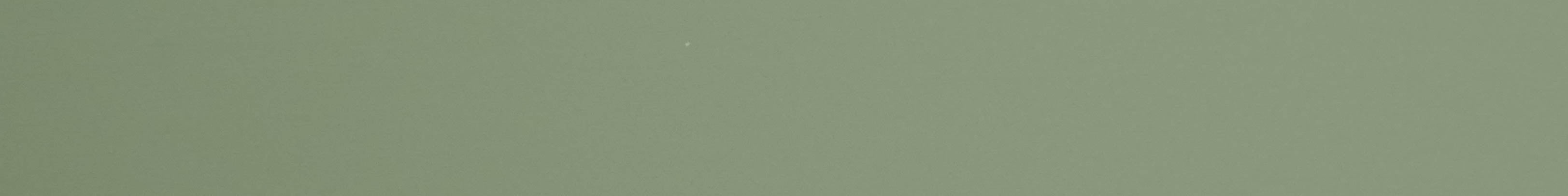TAFISA PM779 SAGE LEAF Edge Band-CT30035M-Pre-Matched