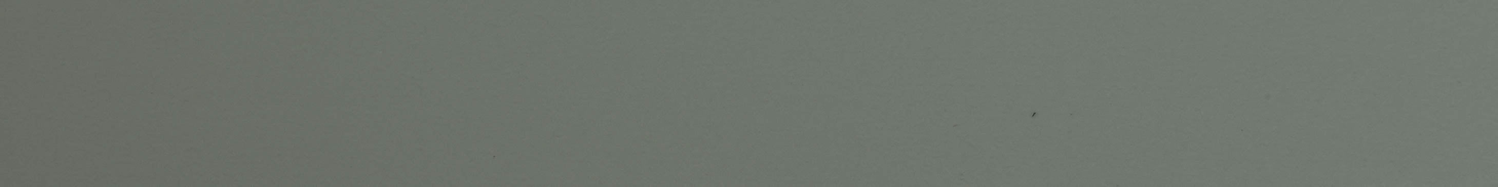 TAFISA PM202 SUMMER DROPS Edge Band-CT30037M-Pre-Matched