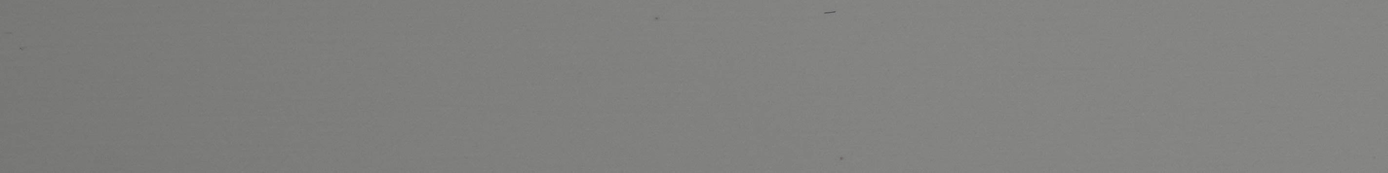 TAFISA PM763  MORNING DEW Edge Band-CT30038M-Pre-Matched