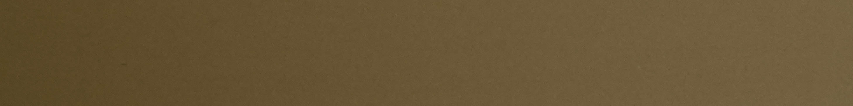 TAFISA PM782 SAND CASTLE Edge Band-CT30041M-Pre-Matched