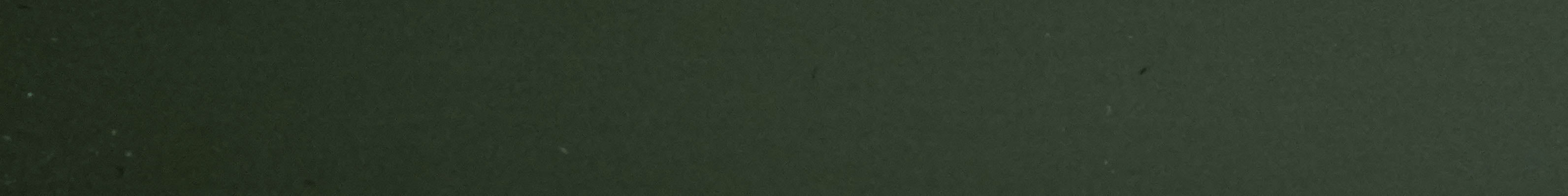 TAFISA PM784 SECRET JARDEN Edge Band-CT30042M-Pre-Matched
