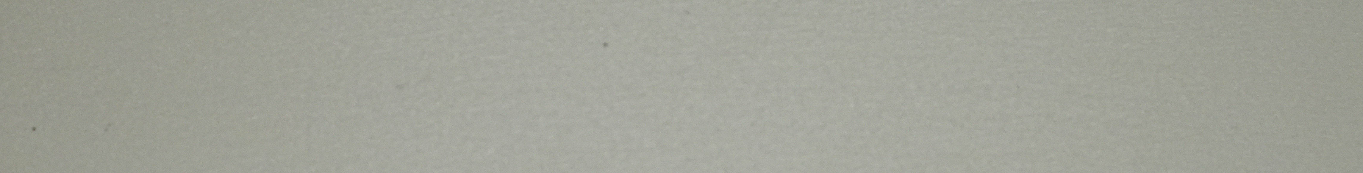 【PRISM】SF255 WILLOW-CT80028M