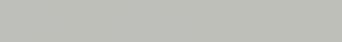 Edgeband Match【AGT】P729 - CT20018M - CT Edge Band Supply, IncCT20018M