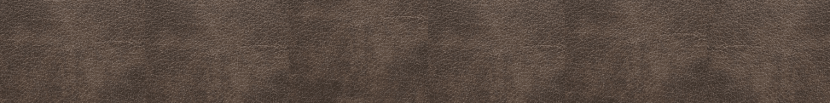 Edgeband match【CLEAF】FA33 MAYA BRONZE LIGTH - CT70002M - CT Edge Band Supply, IncCT70002M