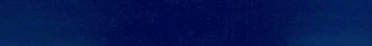 EdgeBanding Match【ChaoTai】WQ63070HG - CT230005M - CT Edge Band Supply, Inc