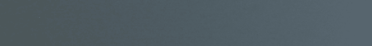 EdgeBanding Match【ChaoTai】WQ63074M - CT230008M - CT Edge Band Supply, Inc