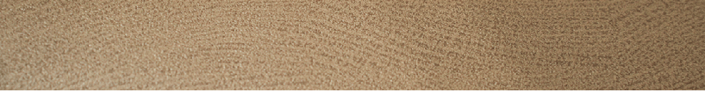 Edgebanding match【EGGER】Q1367 RO LIGHT NATURAL CASELLA OAK - CT10063M - CT Edge Band Supply, Inc